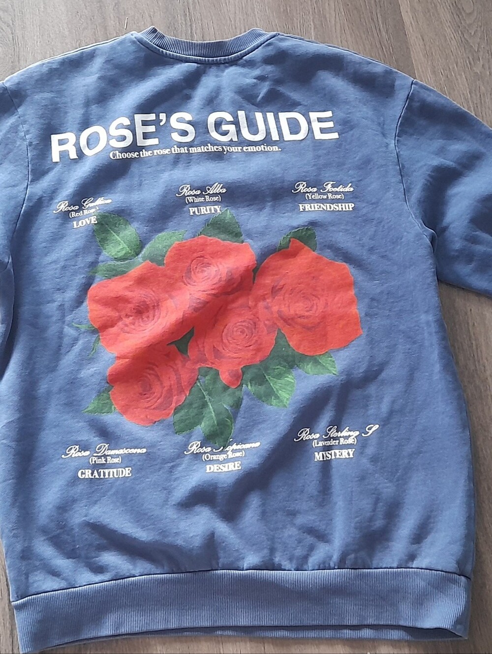 Zara Blue Sweatshirt with Red Rose Graphic Back Print
